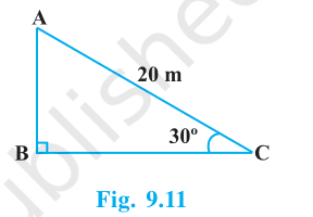 Right triangle ABC with rope AC = 20 m making 30 degrees with the ground