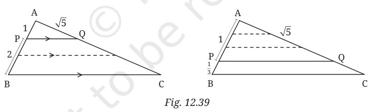 Triangles ABC with PQ parallel to BC, AP = 1 and AQ = root 5