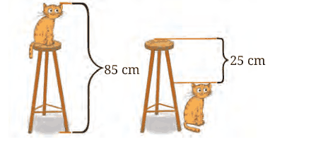 A cat on a stool reaching 85 cm, and a cat on the floor 25 cm below the top of the stool