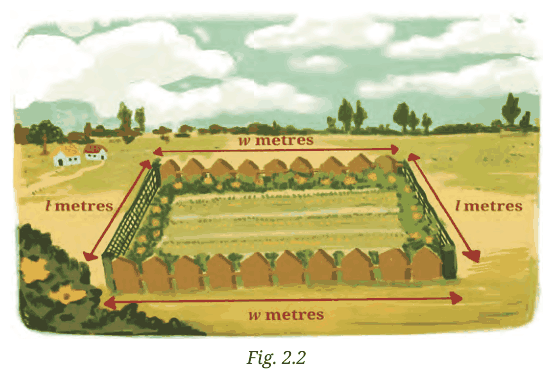 Rectangular garden of length l metres and width w metres with fencing
