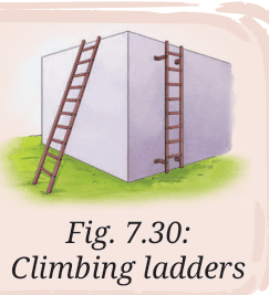 An inclined ladder and a vertical ladder against a wall
